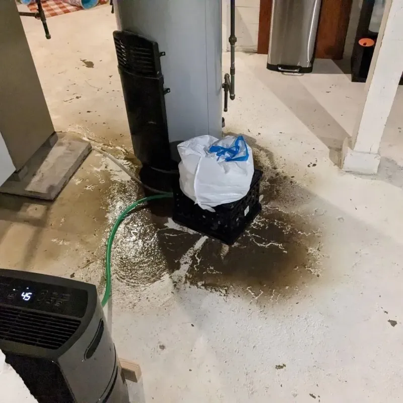 Sewage Backup Cleanup Service in Salem, AR